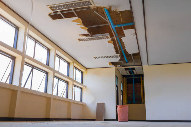Best Water damage cleanup near me  in La Grange, NC