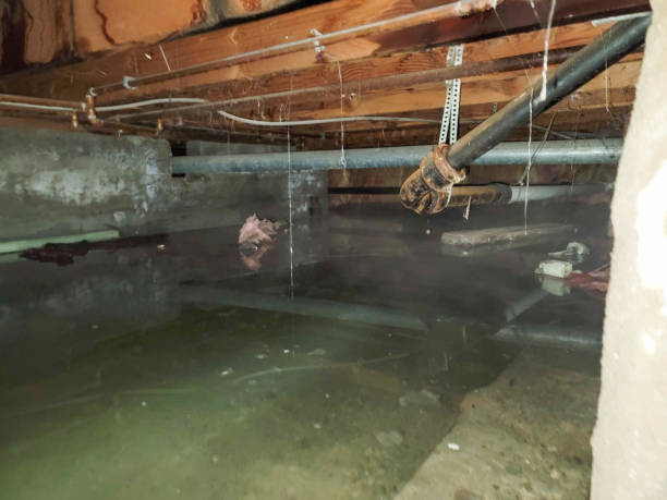 Best Water damage restoration process  in La Grange, NC