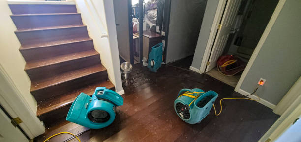 Best Flooded house restoration  in La Grange, NC