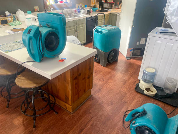 Best Commercial water damage restoration  in La Grange, NC