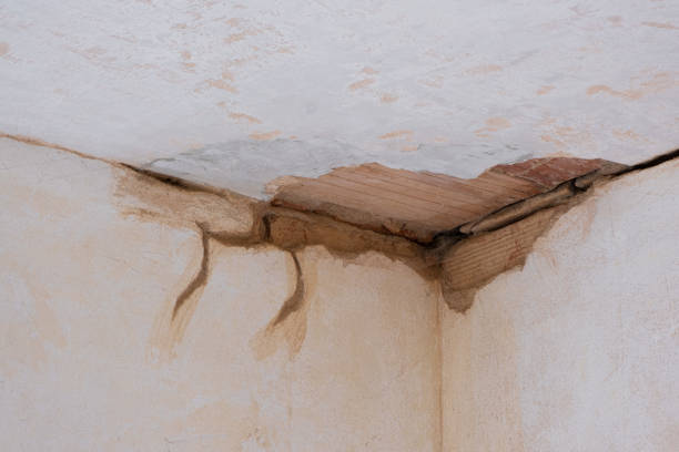 Best Water damage restoration mold remediation  in La Grange, NC