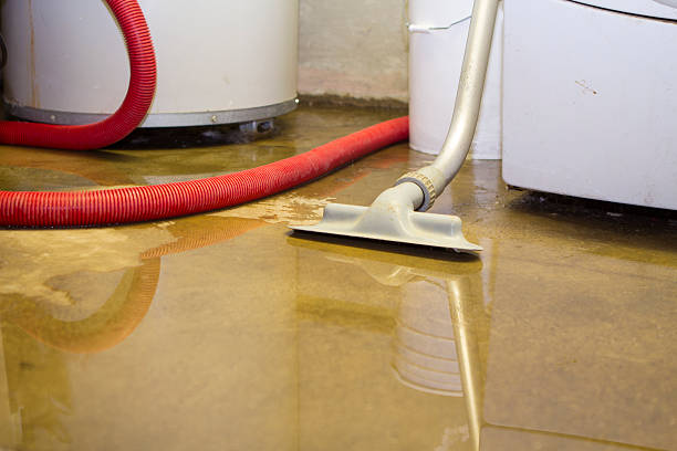 Water damage restoration mold remediation in La Grange, NC