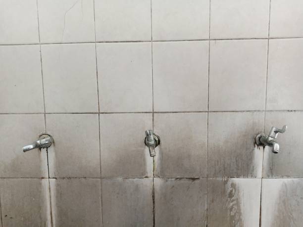Reliable La Grange, NC Water damage restoration Solutions