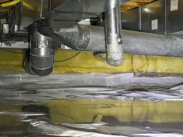 Best Sewage cleanup and water damage restoration  in La Grange, NC