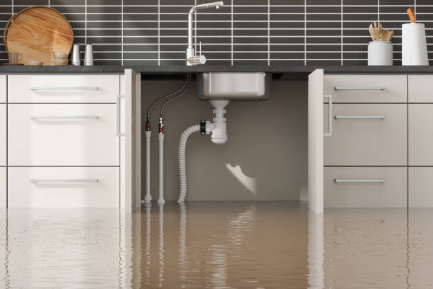 Best Residential water damage restoration  in La Grange, NC