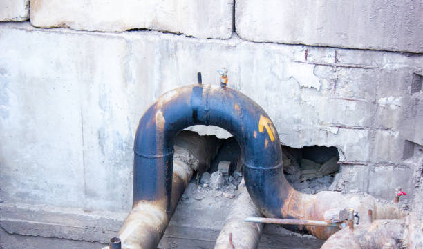 Best Professional water damage repair  in La Grange, NC