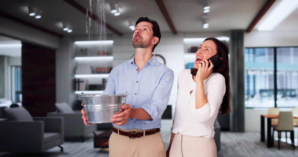 Best Water damage restoration near me  in La Grange, NC