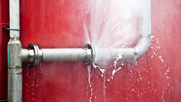 Best Water damage cleanup near me  in La Grange, NC